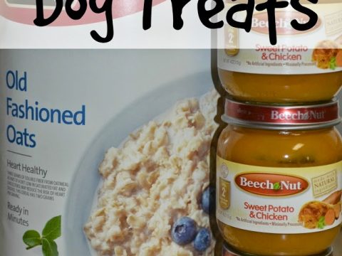 Is pumpkin baby outlet food good for dogs