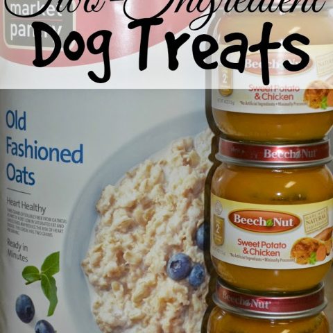 homemade dog treats with baby food and oatmeal