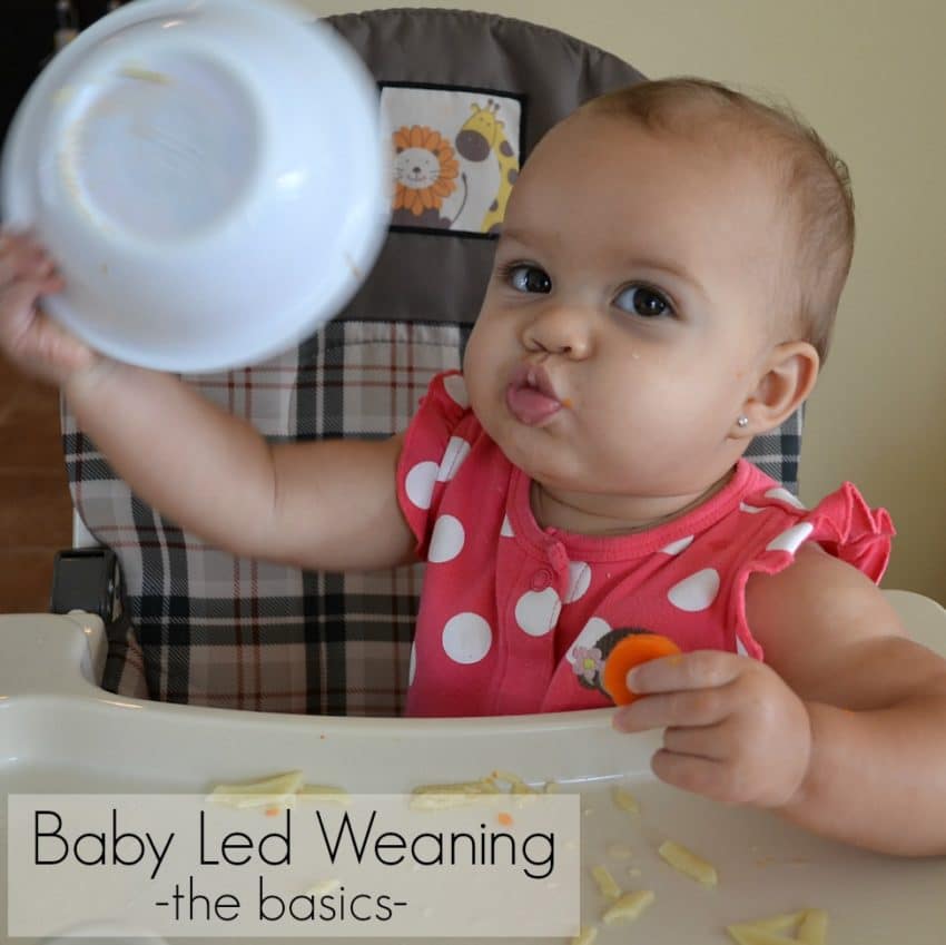 Baby Led Weaning – The Basics