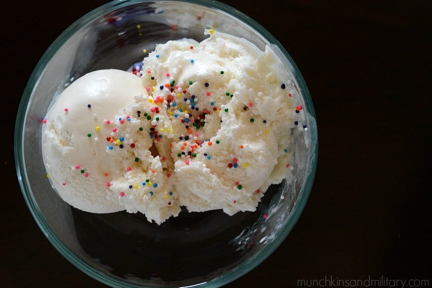 Homemade Ice Cream - Three Little Ferns - Family Lifestyle Blog
