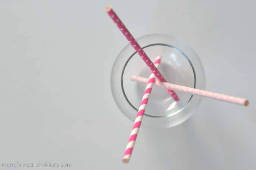 photo-prop-straw