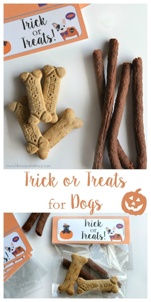 Don't forget the furry trick or treaters on Halloween! Be prepared with Milk-Bone & Pup-Peroni! #TreatThePups ad