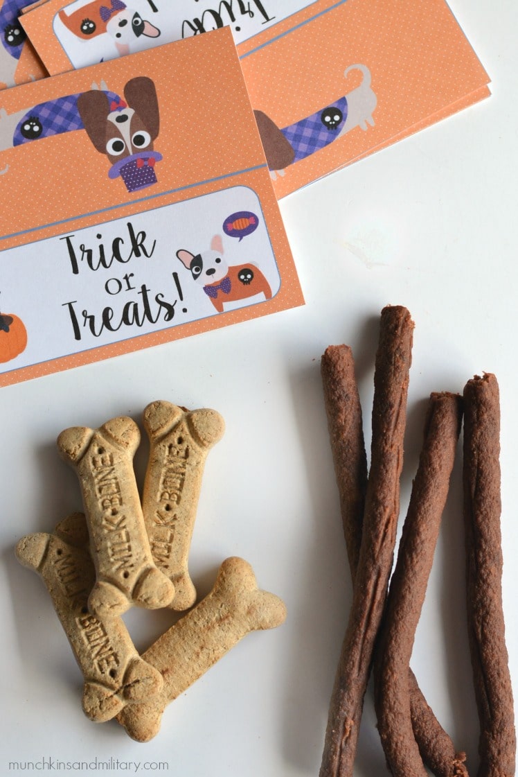 Don't forget the furry trick or treaters on Halloween! Be prepared with Milk-Bone & Pup-Peroni! #TreatThePups ad