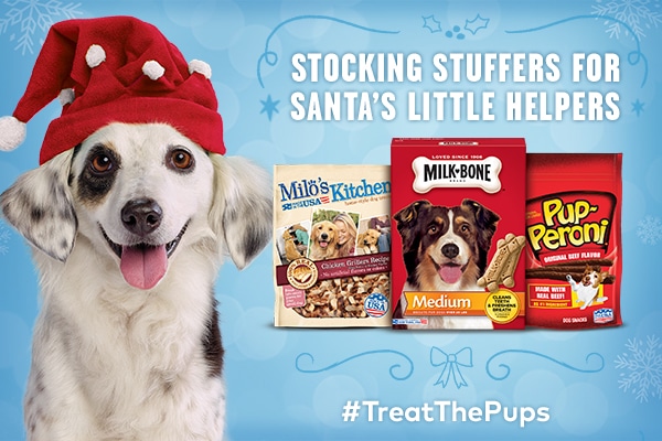 #TreatThePups with Doggy Stocking Stuffers!