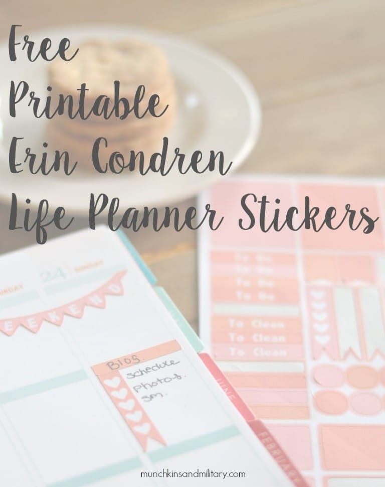 More DIY Erin Condren Life Planner Stickers + Template - Three Little ...