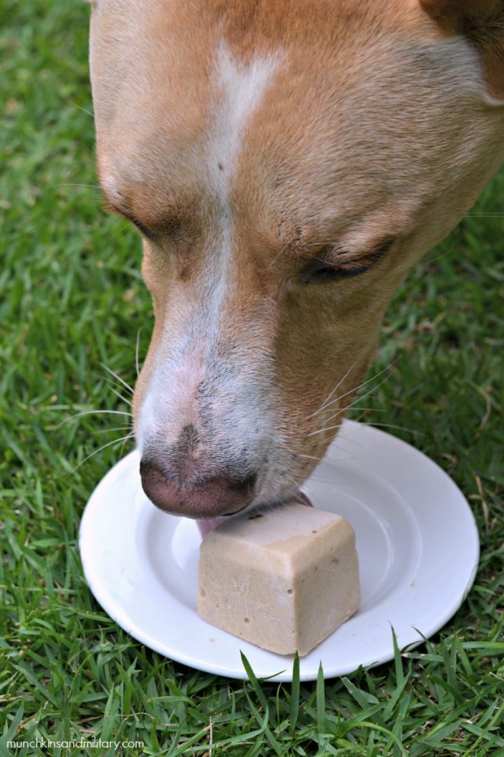 Peanut Butter and Banana Frozen Dog Treat