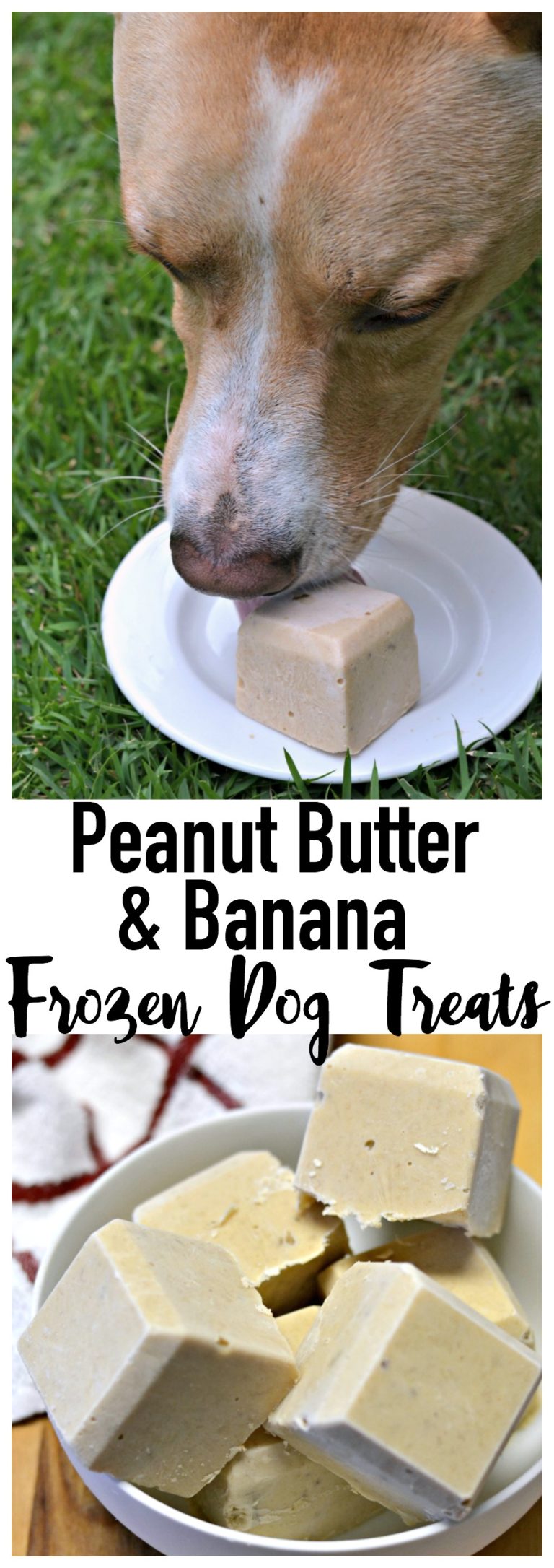 Peanut Butter and Banana Frozen Dog Treats Three Little Ferns