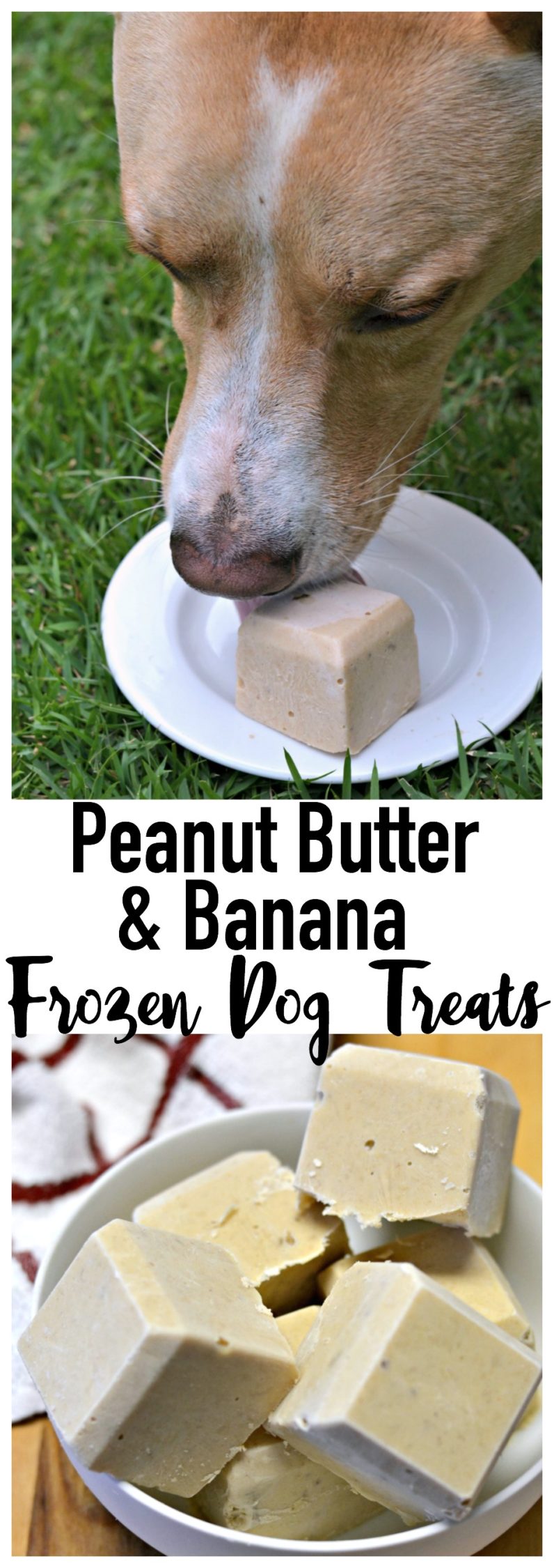 banana yogurt peanut butter dog treats