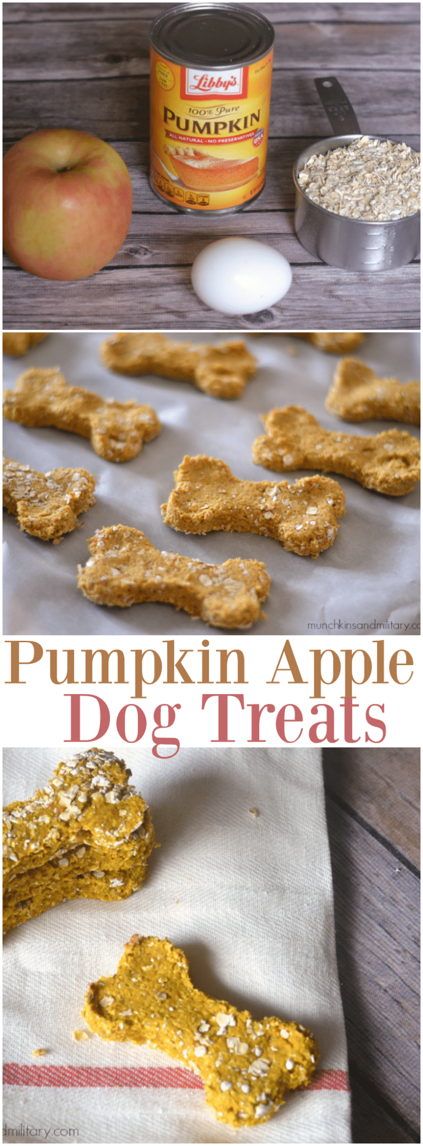 A delicious dog treat made with pumpkin and apple