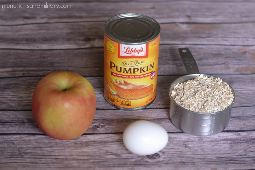 Ingredients for pumpkin and apple dog treats