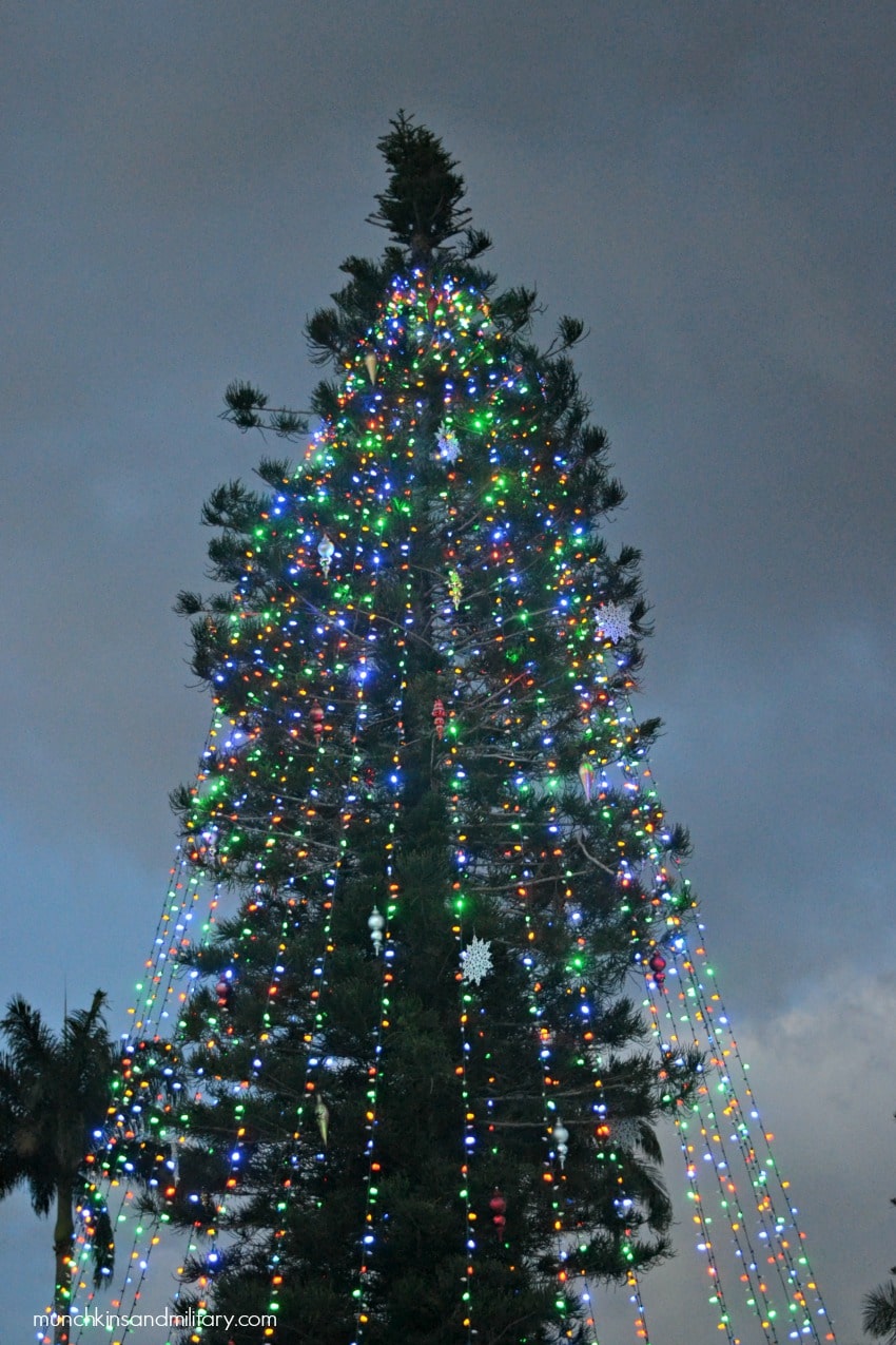 schofield-christmas-tree