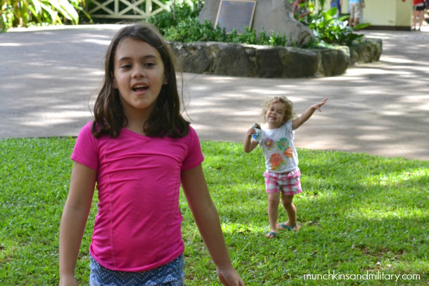 waimea-valley-falls