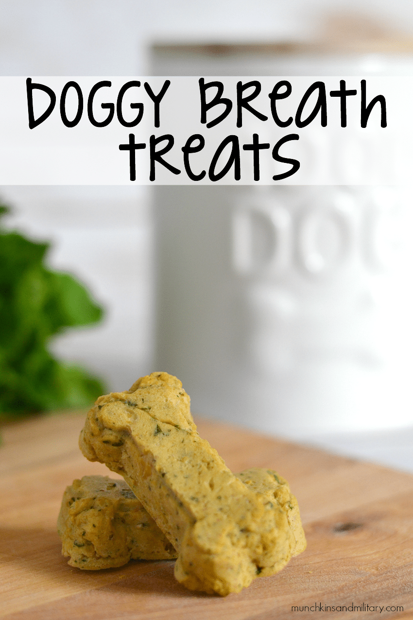 Freshen up your furry friend's breath with these simple homemade doggy breath treats!