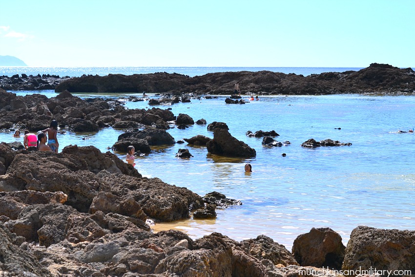 Pupukea Beach Park aka Shark's Cove - one of many kid-friendly beaches on Oahu