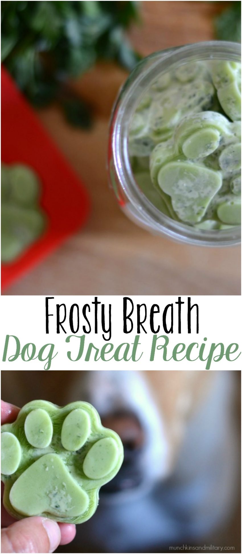Frosty breath homemade dog treat recipe