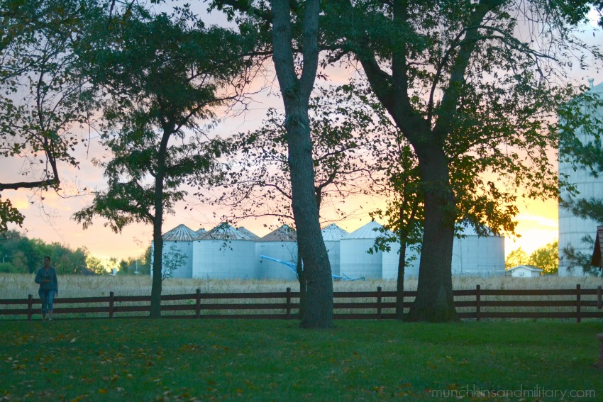 Springfield, Illinois sunset behind silos