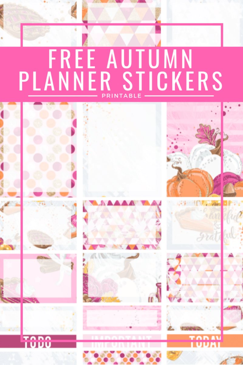 Free Pink Autumn Printable Planner Stickers for Erin Condren Life Planner - PDF and PNG files for Cricut