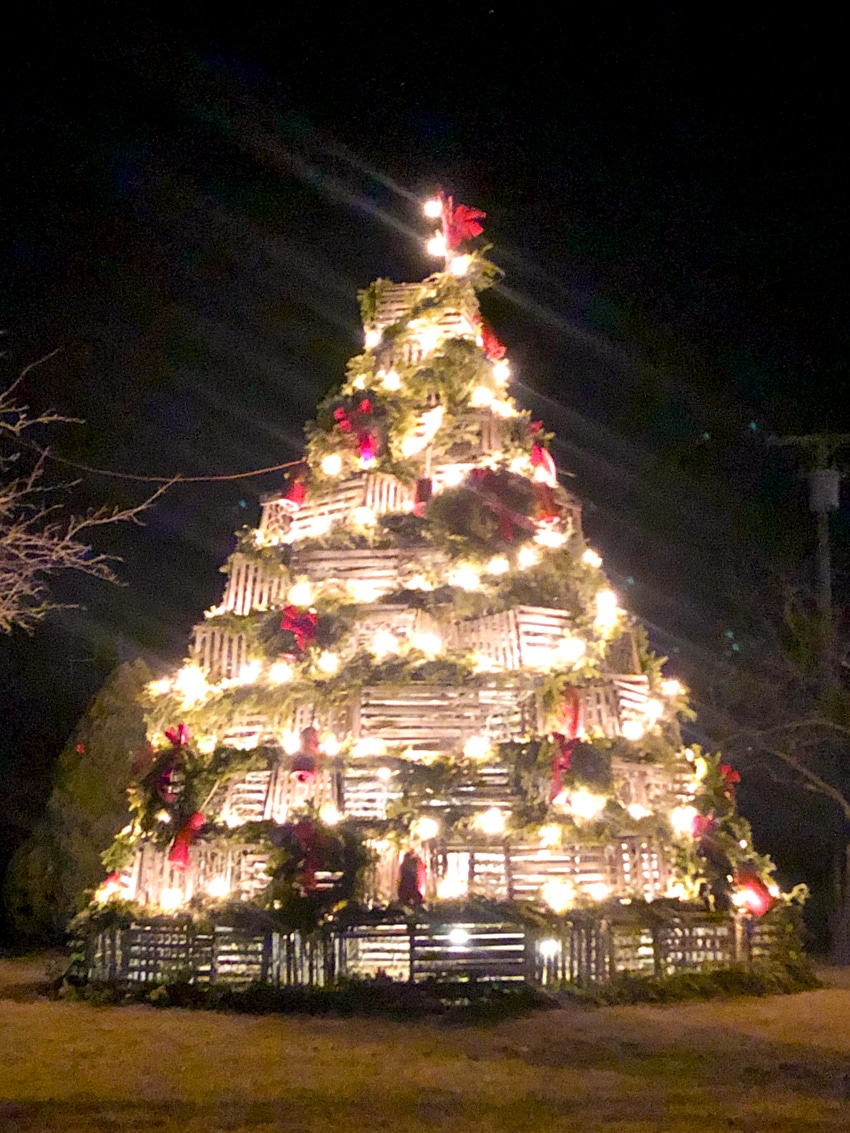 Glowing lobster trap Christmas tree in Kennebunkport, ME