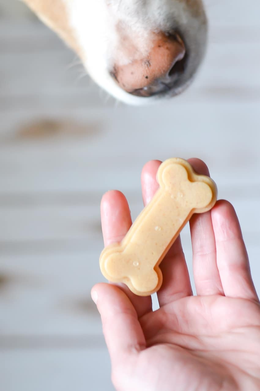 Peanut butter dog treats made with gelatin are a delicious treat for your dog with the added benefit of joint health! #dogtreats