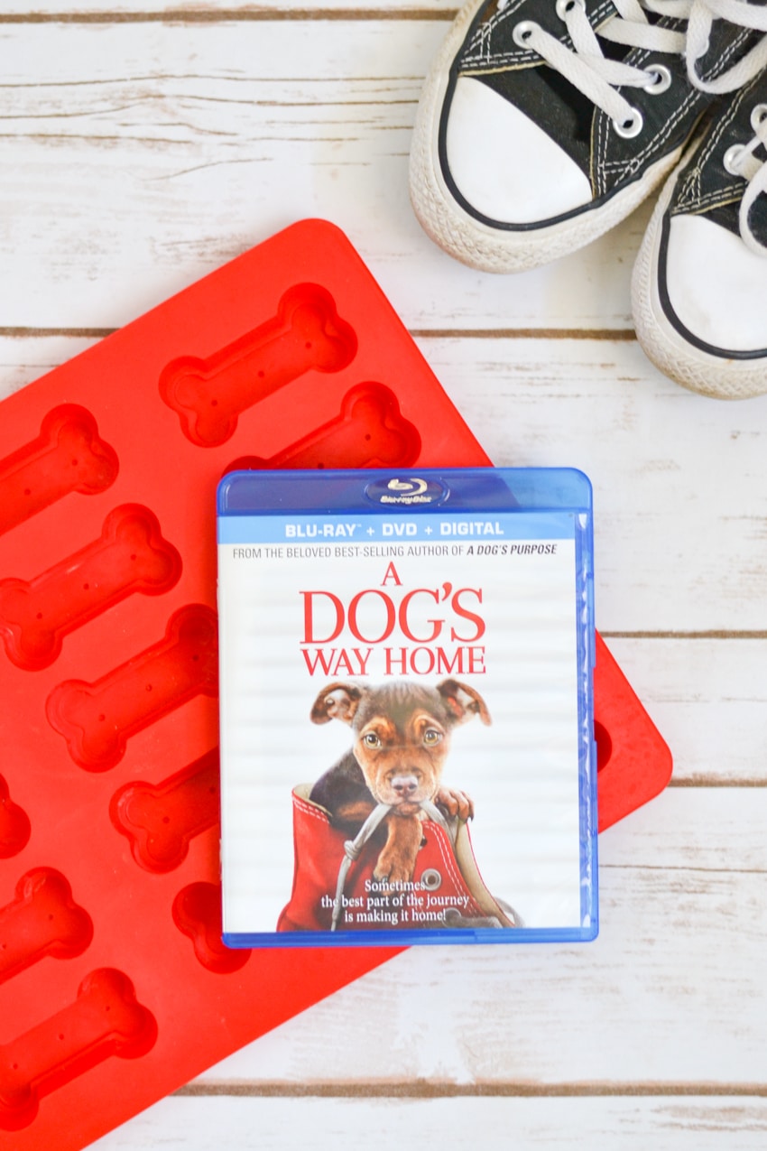 A Dog's Way Home on Blu-Ray & DVD