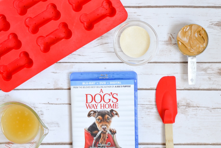 Ingredients for gelatin dog treats - only 3 ingredients!