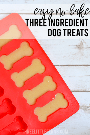 Gelatin Peanut Butter Dog Treats - A Dog's Way Home - Three Little ...