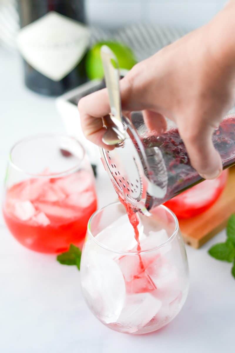 Blackberry Mint Gin and Tonic - Three Little Ferns - Family Lifestyle Blog