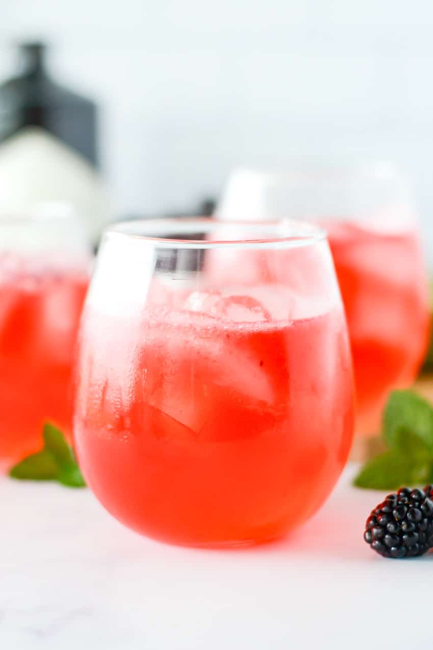 Blackberry Mint Gin and Tonic