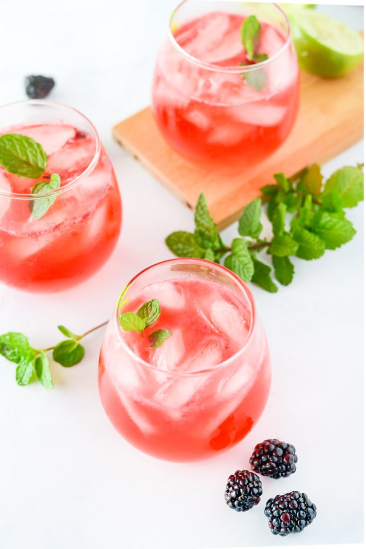 Blackberry Mint Gin and Tonic - Three Little Ferns - Family Lifestyle Blog