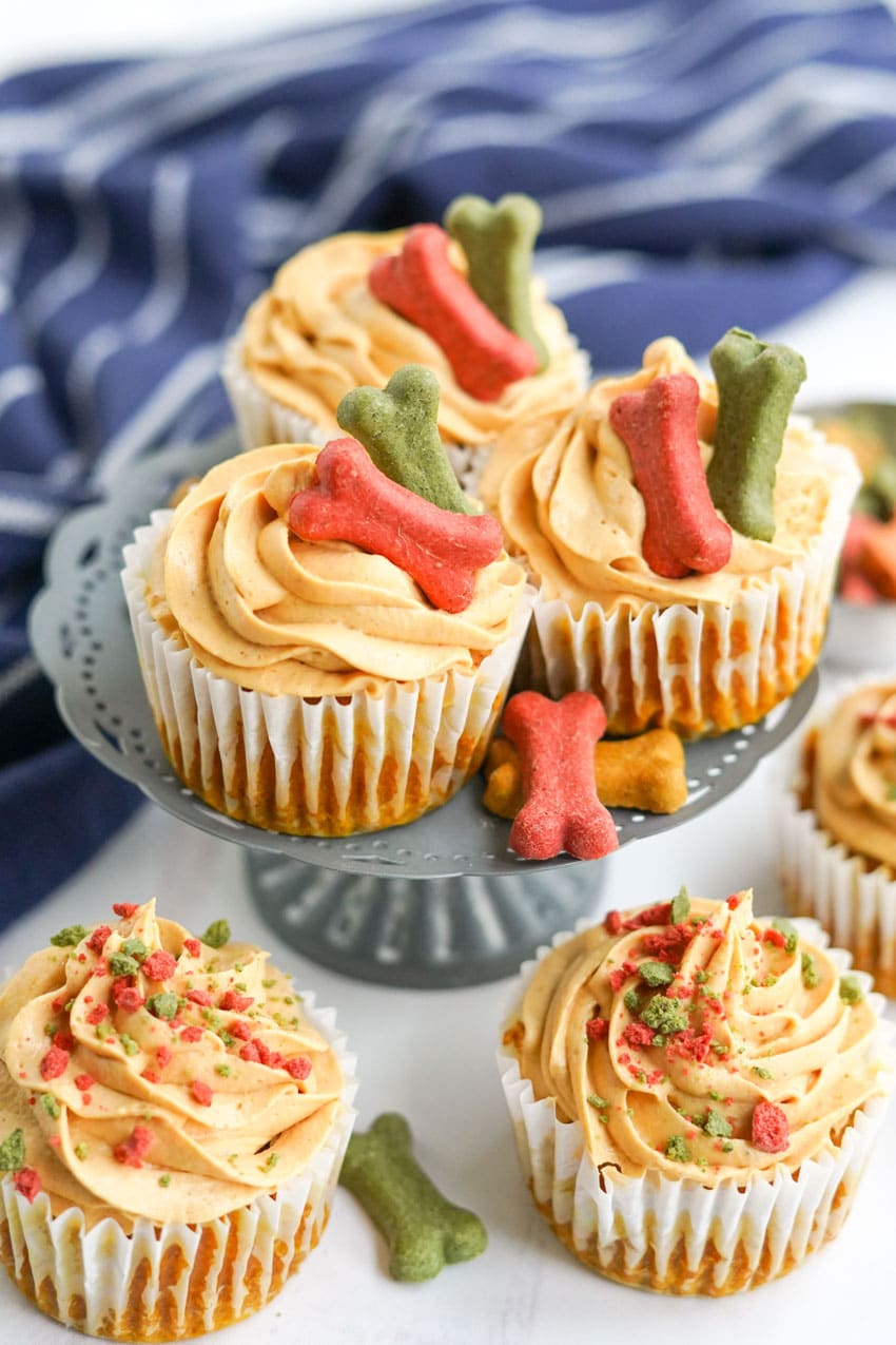 Pumpkin Pupcakes with Peanut Butter Frosting