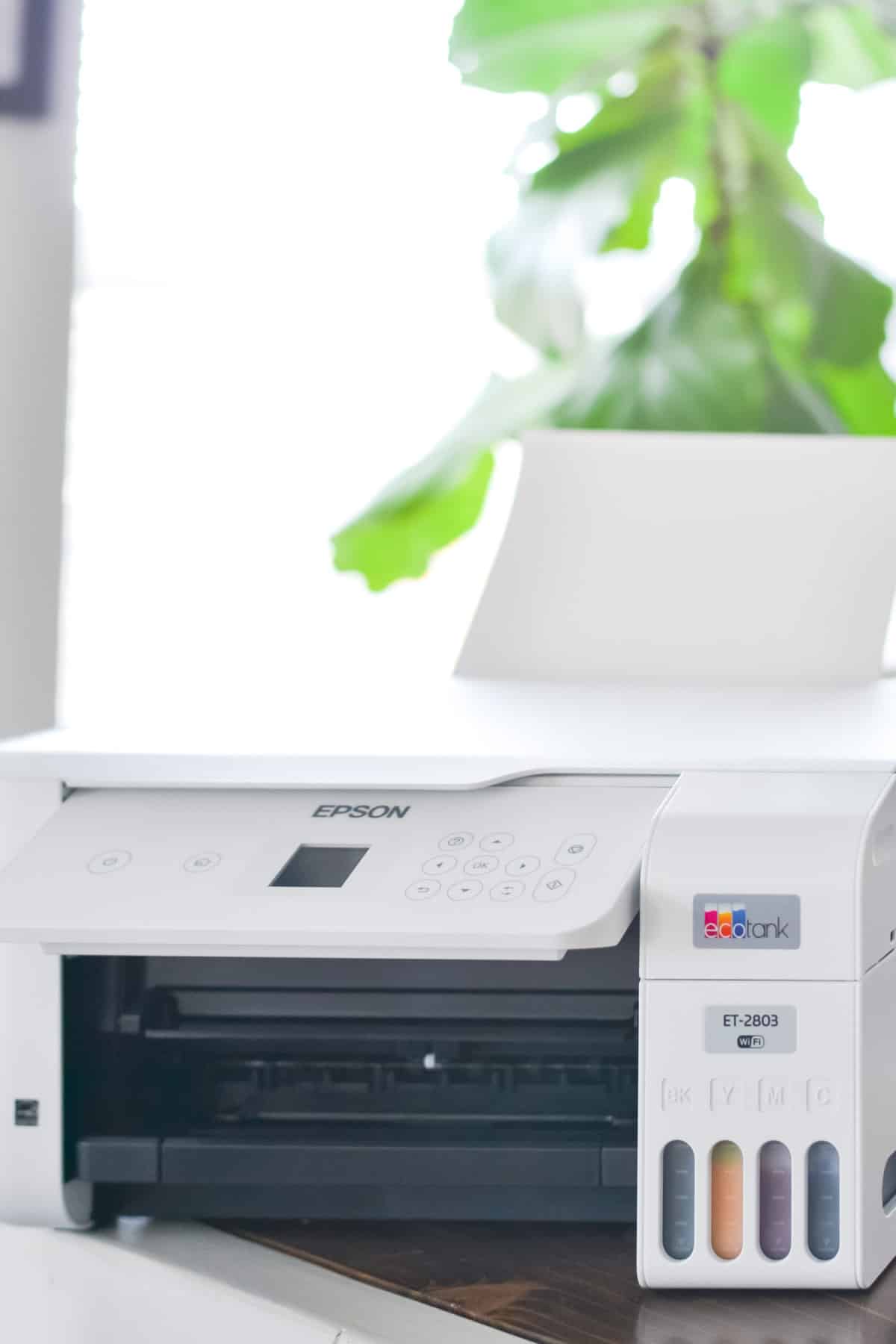 Using an Epson EcoTank Printer for Sublimation